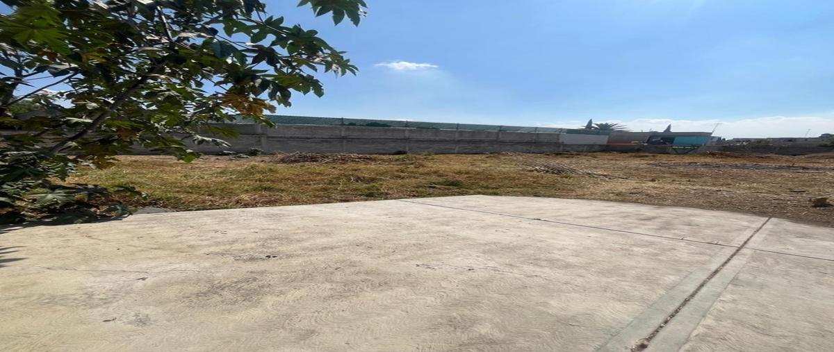 Foto de terreno habitacional en venta en  , los reyes acaquilpan centro, la paz, méxico, 0 No. 03