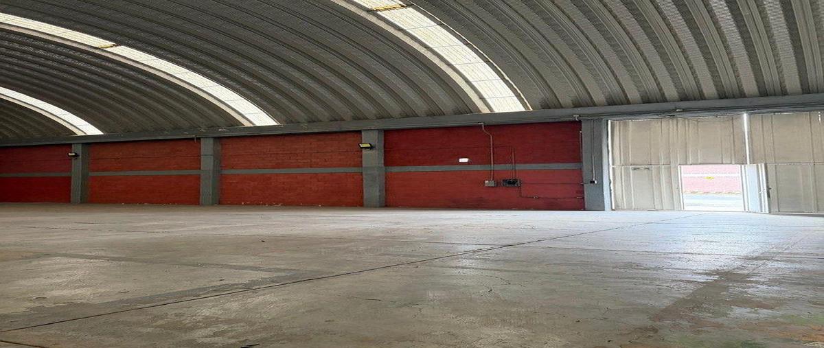 Foto de bodega en renta en  , los reyes acaquilpan centro, la paz, méxico, 0 No. 04