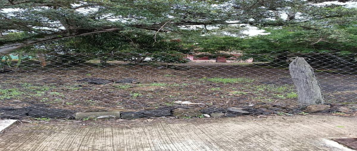 Foto de terreno habitacional en venta en  , los reyes, emiliano zapata, veracruz de ignacio de la llave, 26911280 No. 04