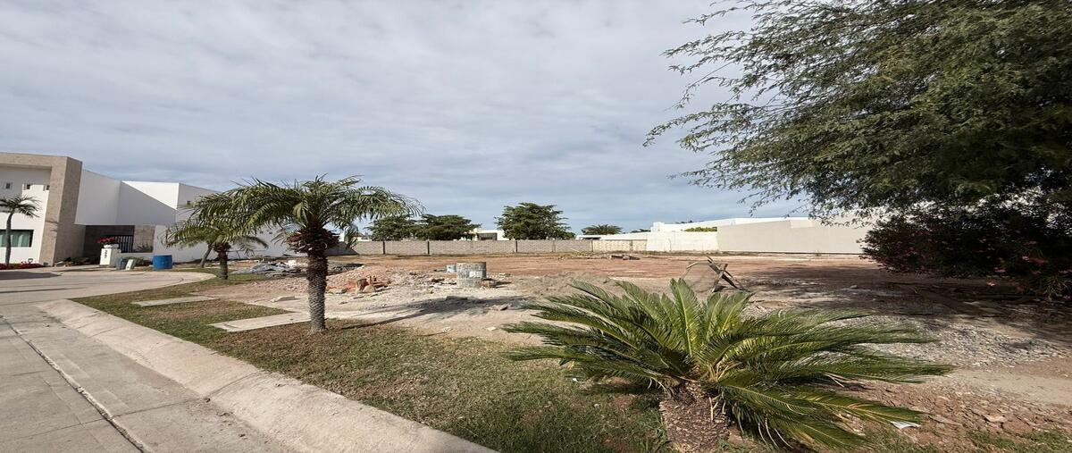Foto de terreno habitacional en venta en los reyes , portal de hierro, ahome, sinaloa, 0 No. 02