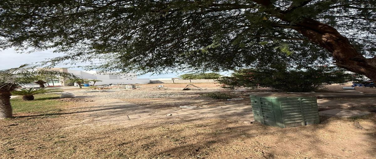Foto de terreno habitacional en venta en los reyes , portal de hierro, ahome, sinaloa, 0 No. 04