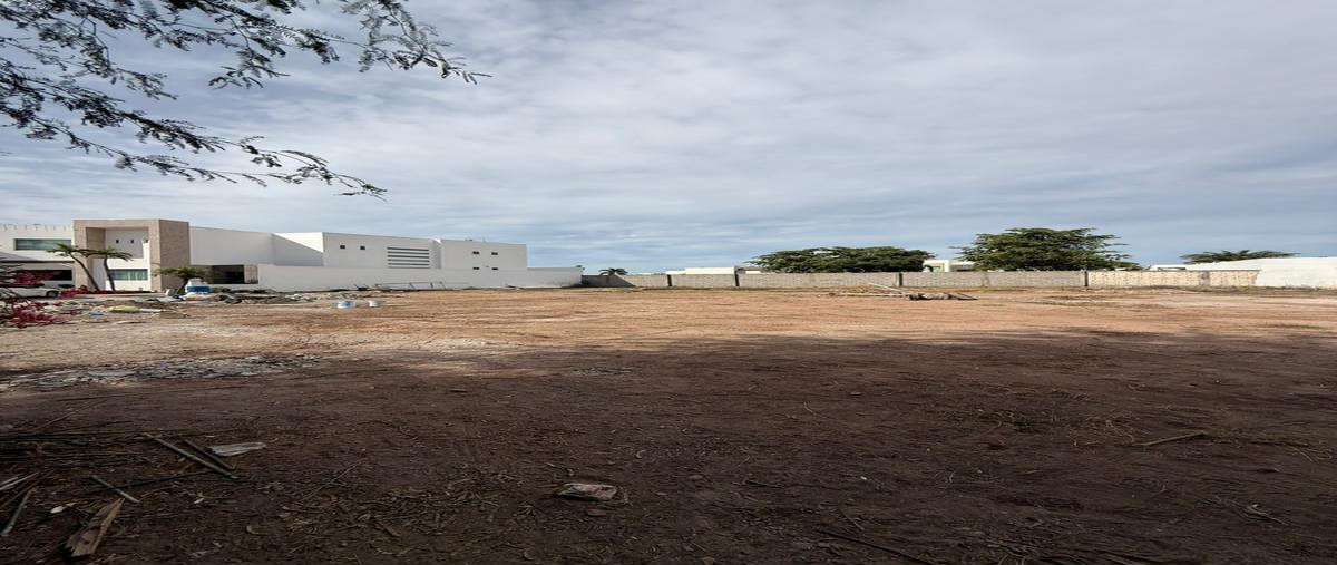Foto de terreno habitacional en venta en los reyes , portal de hierro, ahome, sinaloa, 0 No. 05