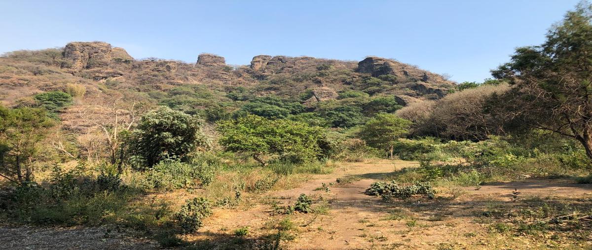 Foto de terreno habitacional en venta en  , los reyes, tepoztlán, morelos, 28583511 No. 03