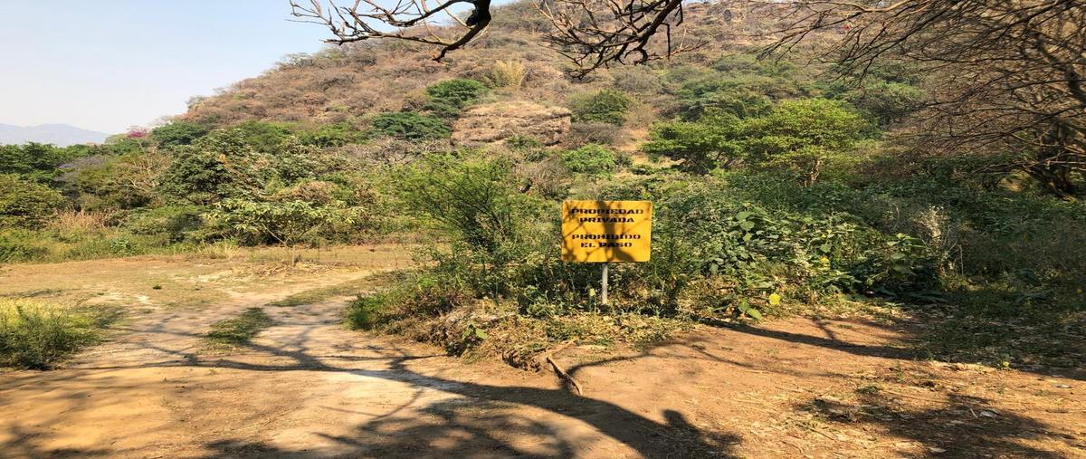 Foto de terreno habitacional en venta en  , los reyes, tepoztlán, morelos, 28583511 No. 04