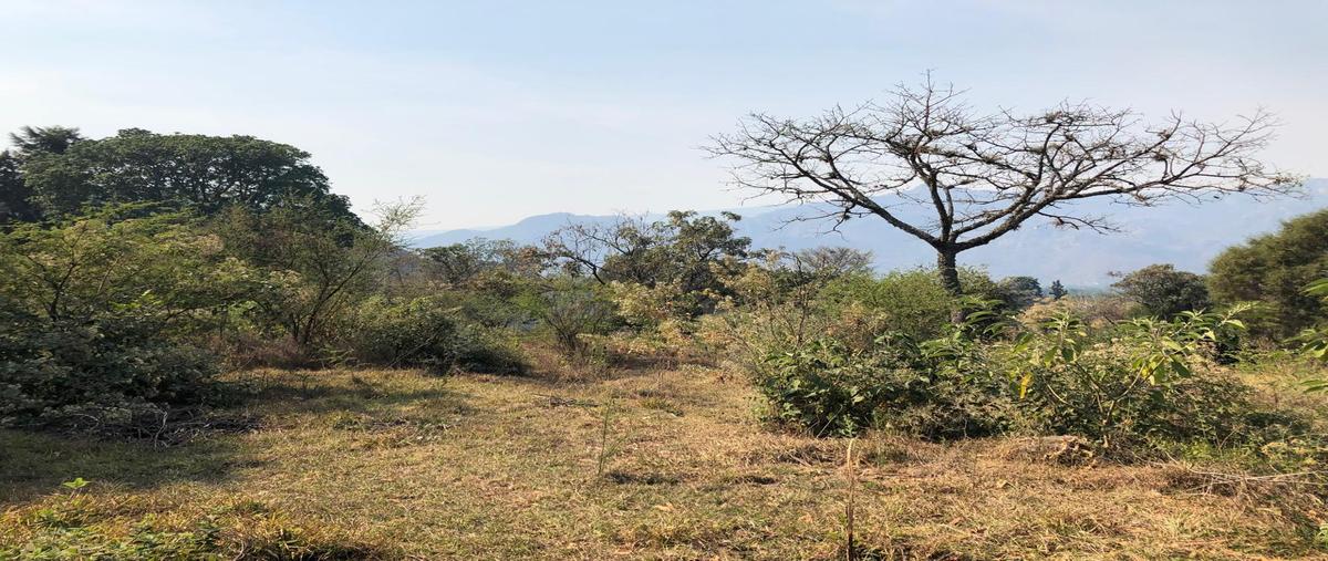 Foto de terreno habitacional en venta en  , los reyes, tepoztlán, morelos, 28583511 No. 05