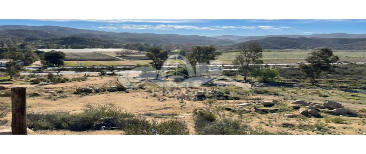 Foto de terreno habitacional en venta en  , los reyes, tijuana, baja california, 24790812 No. 03