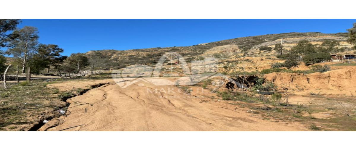 Foto de terreno habitacional en venta en  , los reyes, tijuana, baja california, 24790812 No. 05