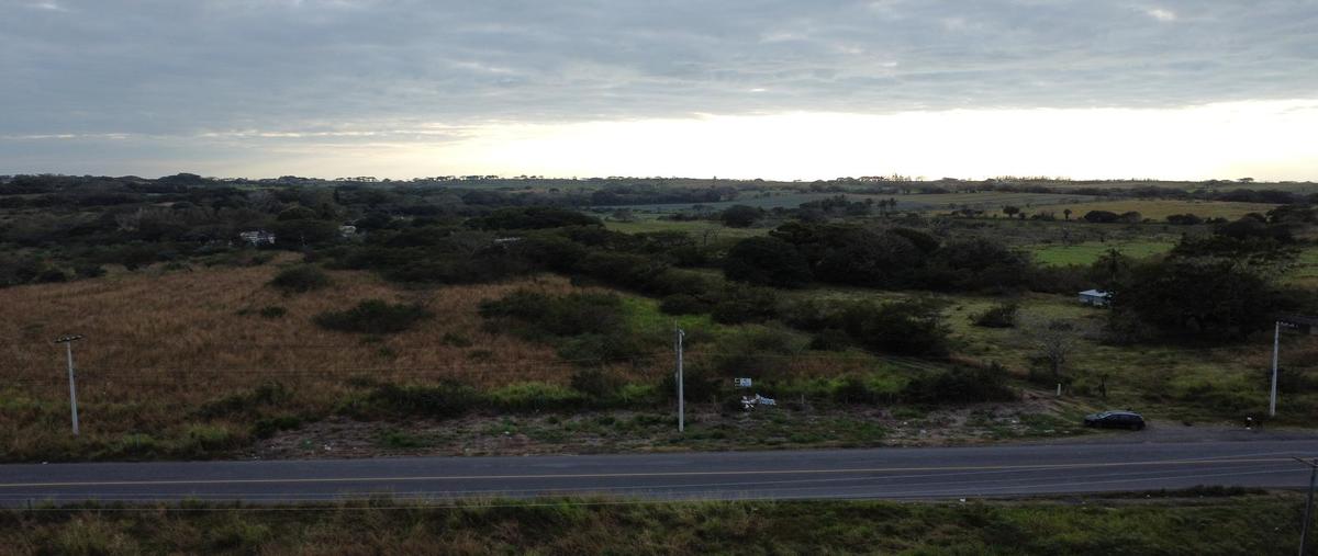 Foto de terreno habitacional en venta en  , los robles, medellín de bravo, veracruz de ignacio de la llave, 26849892 No. 03
