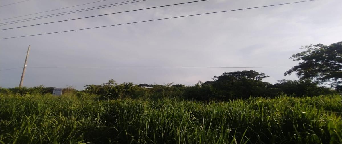 Foto de terreno habitacional en venta en  , los robles, medellín de bravo, veracruz de ignacio de la llave, 26849892 No. 04
