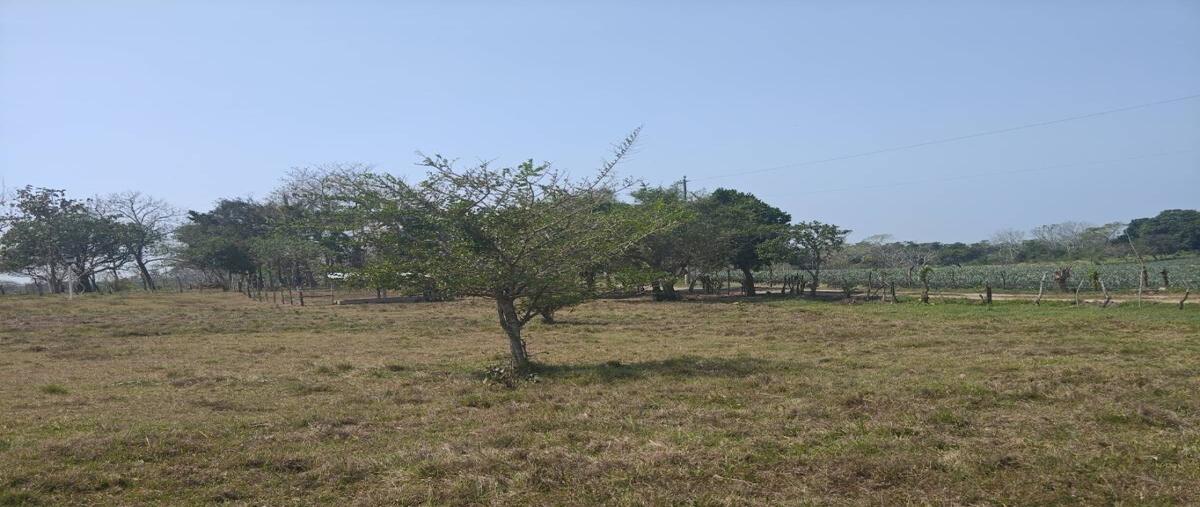 Foto de terreno habitacional en venta en  , los robles, medellín de bravo, veracruz de ignacio de la llave, 0 No. 05