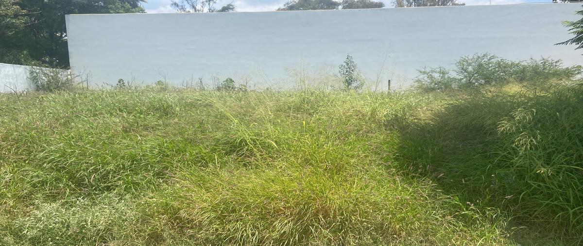 Foto de terreno habitacional en venta en los robles , rinconada jurica, querétaro, querétaro, 30193625 No. 13