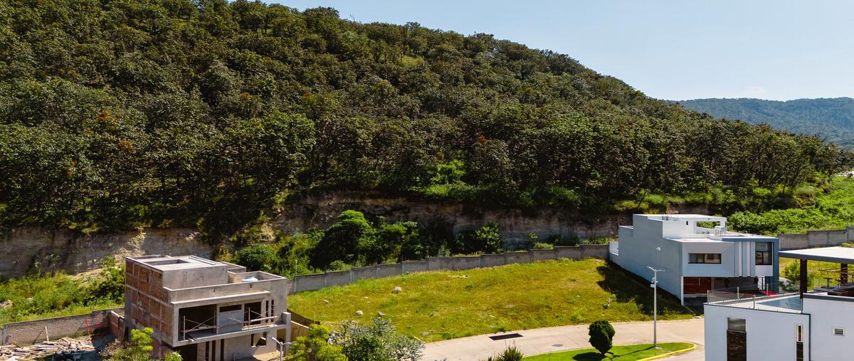 Foto de terreno habitacional en venta en  , los robles, zapopan, jalisco, 28773771 No. 05