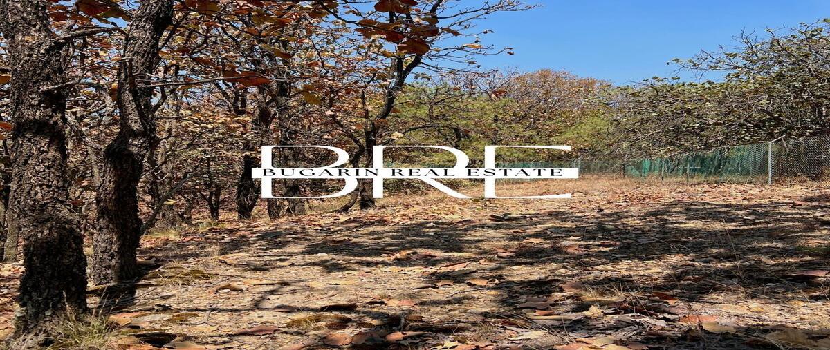 Foto de terreno habitacional en venta en  , los robles, zapopan, jalisco, 0 No. 04