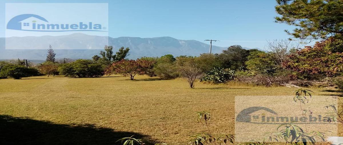 Foto de terreno habitacional en venta en  , los rodriguez, santiago, nuevo león, 12760356 No. 05