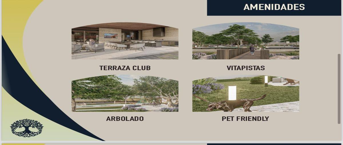 Foto de terreno habitacional en venta en  , los rodriguez, santiago, nuevo león, 0 No. 05