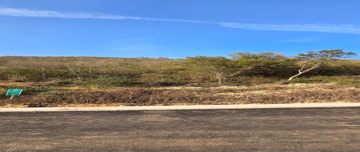 Foto de terreno habitacional en venta en  , los rodriguez, santiago, nuevo león, 0 No. 03