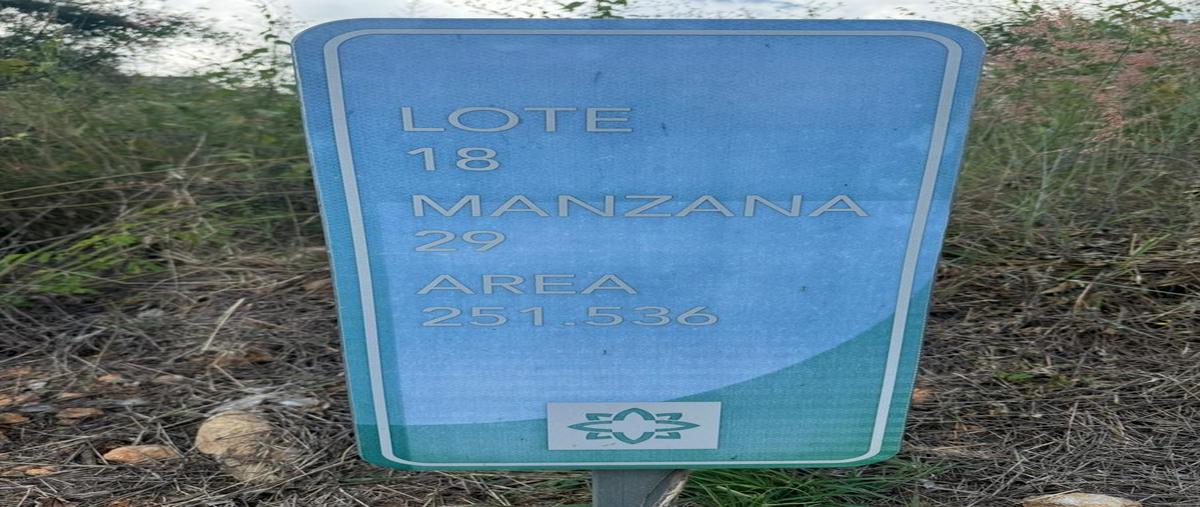 Foto de terreno habitacional en venta en  , los rodriguez, santiago, nuevo león, 31084262 No. 05