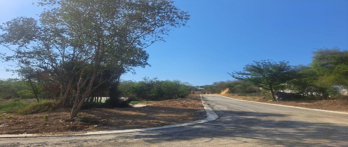 Foto de terreno habitacional en venta en  , los rodriguez, santiago, nuevo león, 0 No. 03