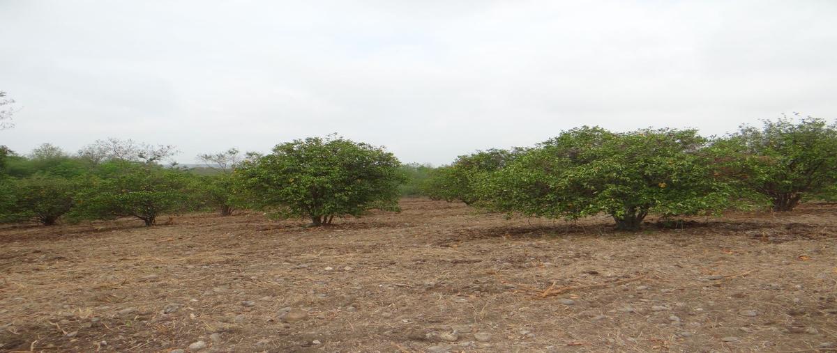 Foto de terreno habitacional en , los sabinos, allende, nuevo león, 23072345 foto 02 Foto de terreno habitacional en venta en , los sabinos, allende, nuevo león, 23072345 No. 02