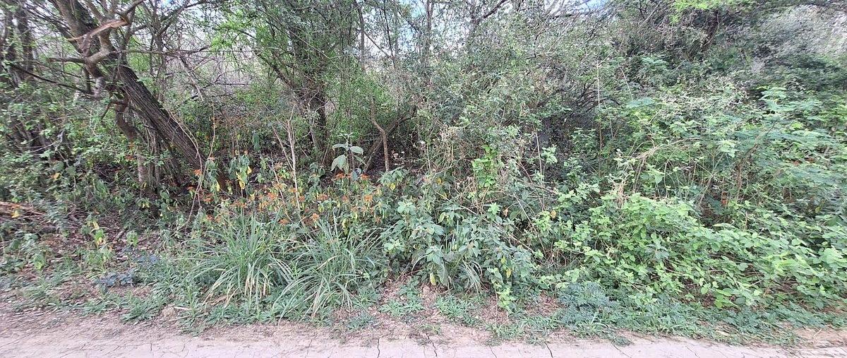 Foto de terreno habitacional en venta en  , los sabinos, allende, nuevo león, 30907506 No. 03