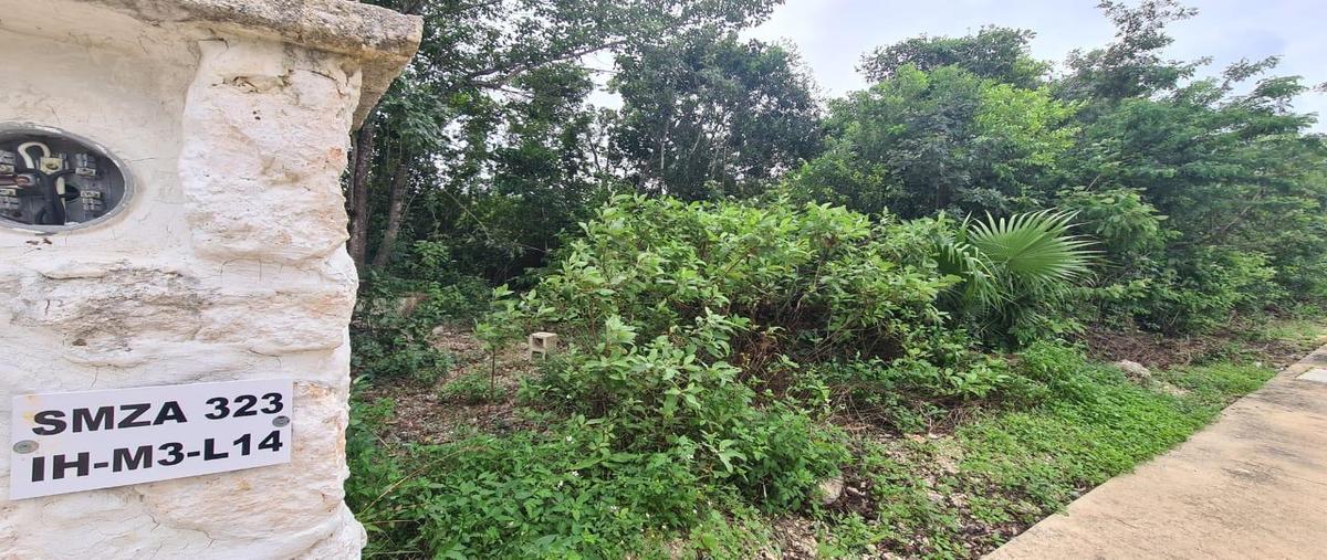 Foto de terreno habitacional en , los santos, benito juárez, quintana roo, 29453771 foto 02 Foto de terreno habitacional en venta en , los santos, benito juárez, quintana roo, 29453771 No. 02