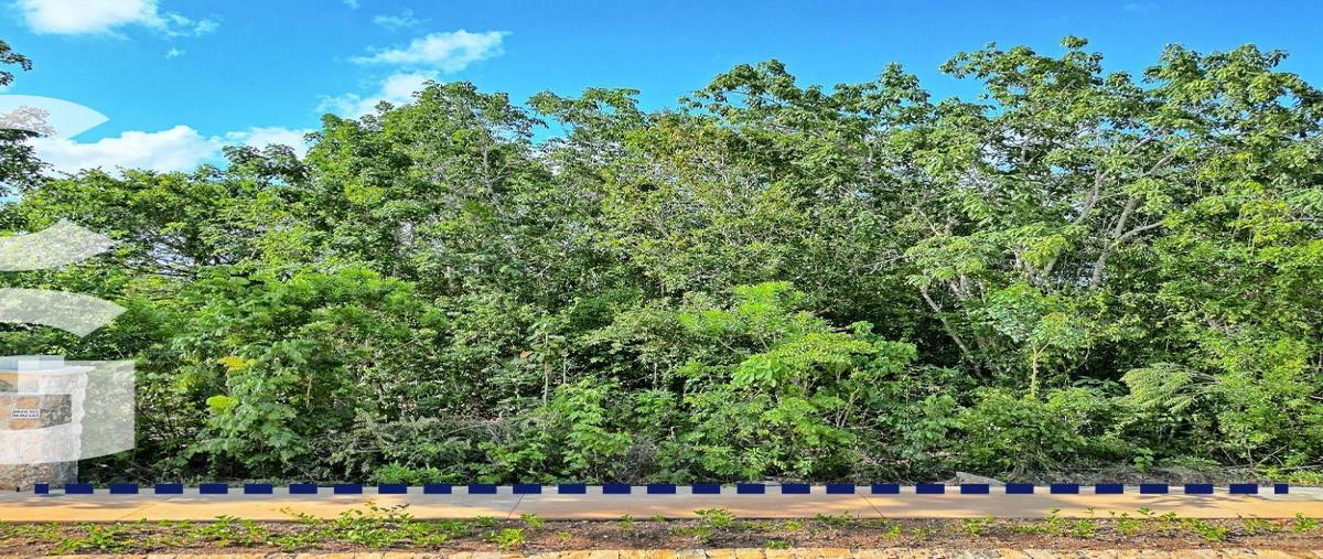 Foto de terreno habitacional en venta en  , los santos, benito juárez, quintana roo, 31076102 No. 04