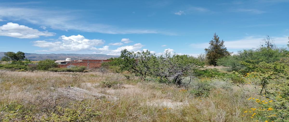 Foto de terreno habitacional en venta en los sauces , san miguel de casa blanca 2, durango, durango, 30537008 No. 04