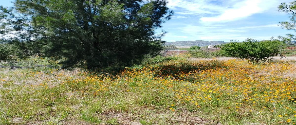 Foto de terreno habitacional en venta en los sauces , san miguel de casa blanca 2, durango, durango, 30537008 No. 05