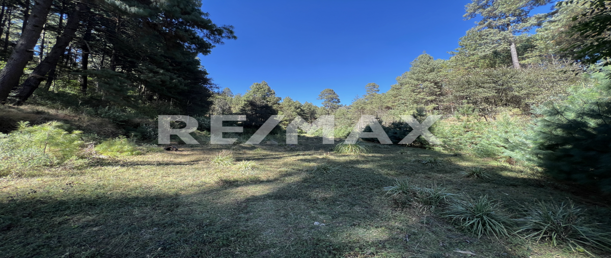 Foto de terreno habitacional en venta en los saucos , los saúcos, valle de bravo, méxico, 0 No. 03