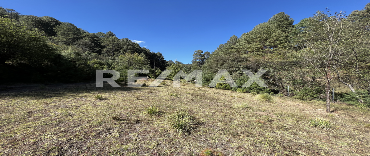 Foto de terreno habitacional en venta en los saucos , los saúcos, valle de bravo, méxico, 0 No. 04