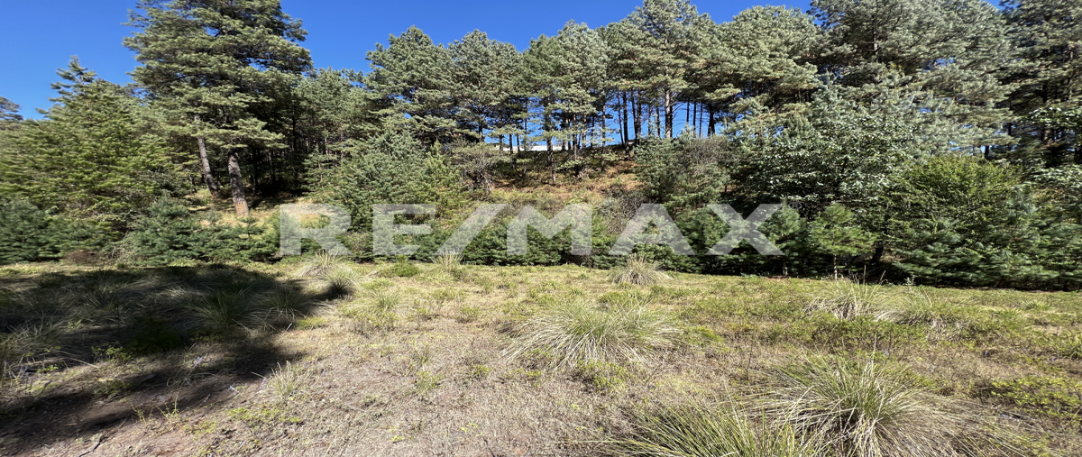 Foto de terreno habitacional en venta en los saucos , los saúcos, valle de bravo, méxico, 0 No. 05