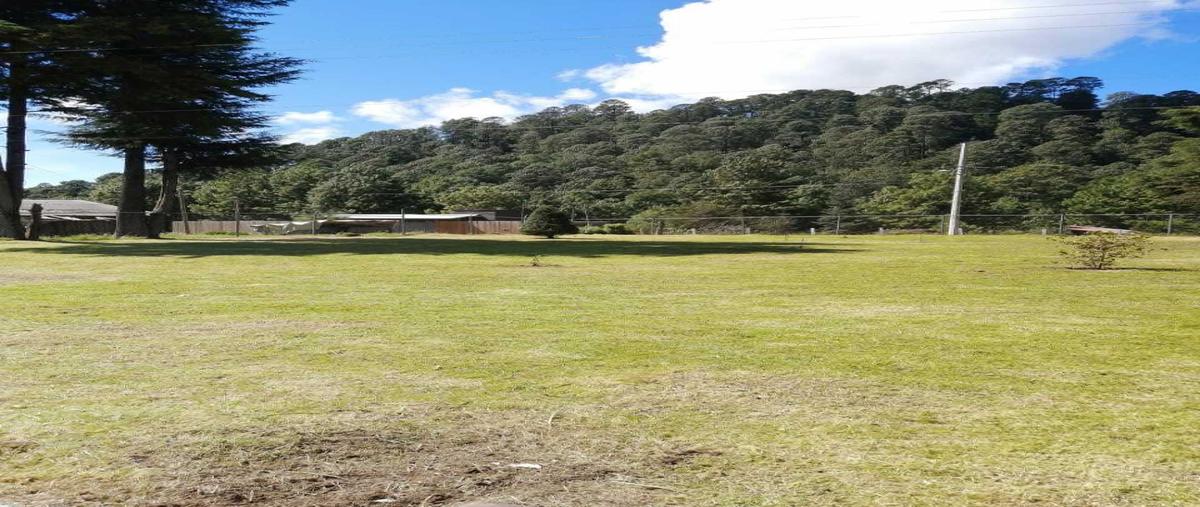 Foto de casa en venta en los saucos , los saúcos, valle de bravo, méxico, 26855009 No. 04