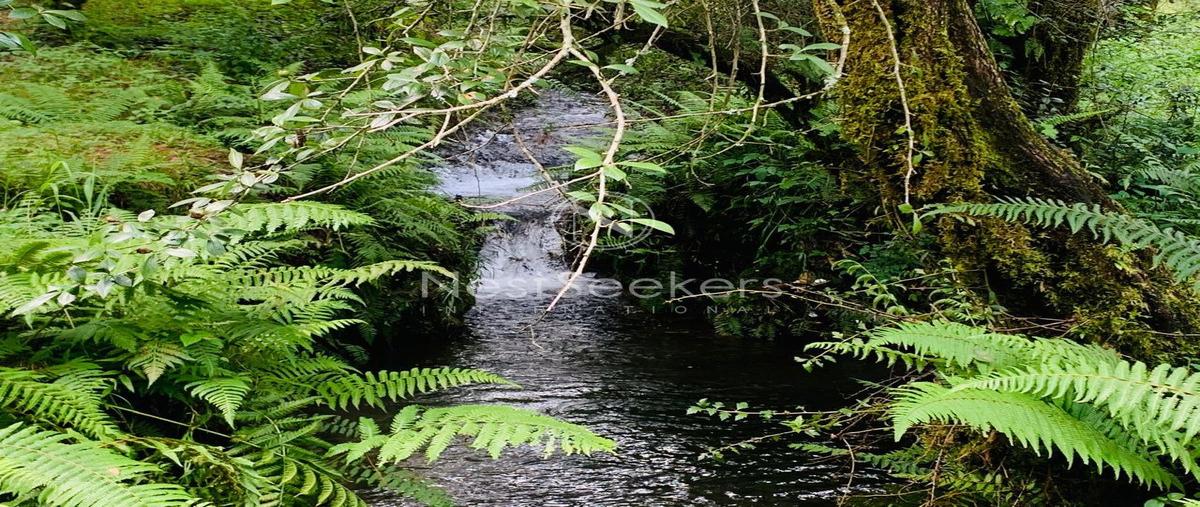 Foto de terreno habitacional en venta en los saucos , los saúcos, valle de bravo, méxico, 29511027 No. 05