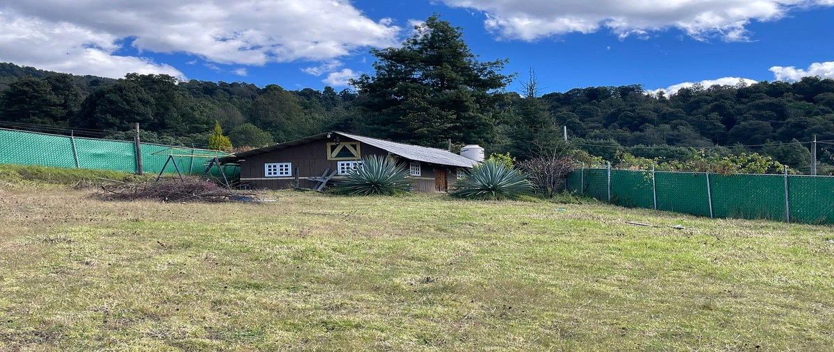 Foto de terreno habitacional en los saucos , los saúcos, valle de bravo, méxico, 30777795 foto 01 Foto de terreno habitacional en venta en los saucos , los saúcos, valle de bravo, méxico, 30777795 No. 01