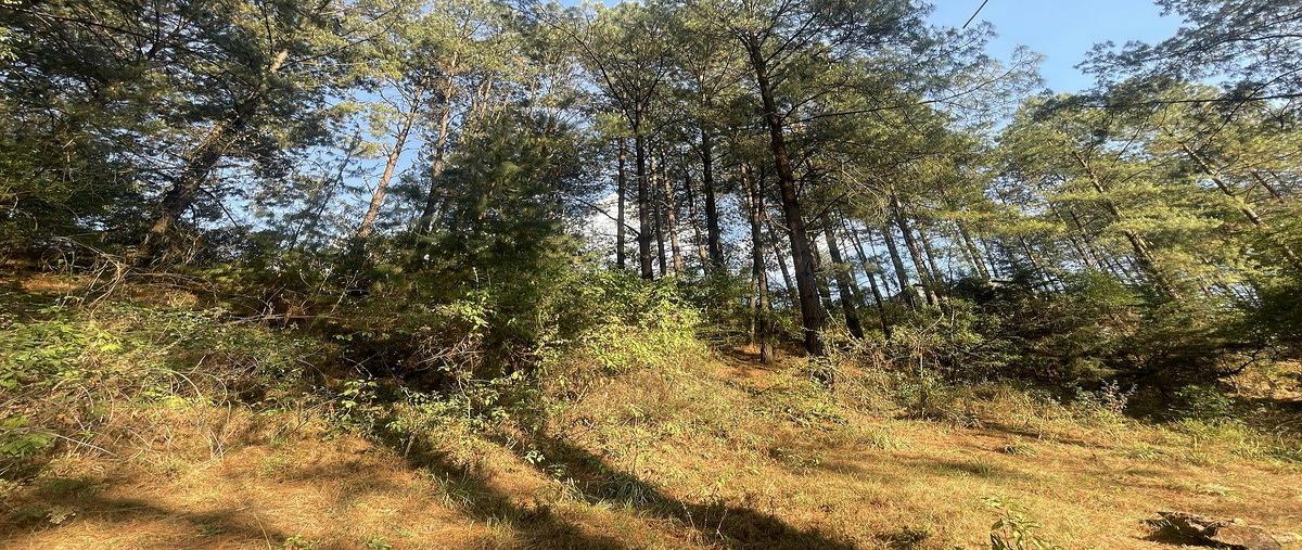 Foto de terreno habitacional en venta en los saucos , los saúcos, valle de bravo, méxico, 0 No. 03