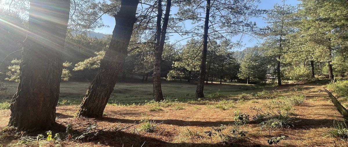 Foto de terreno habitacional en venta en los saucos , los saúcos, valle de bravo, méxico, 30782221 No. 05