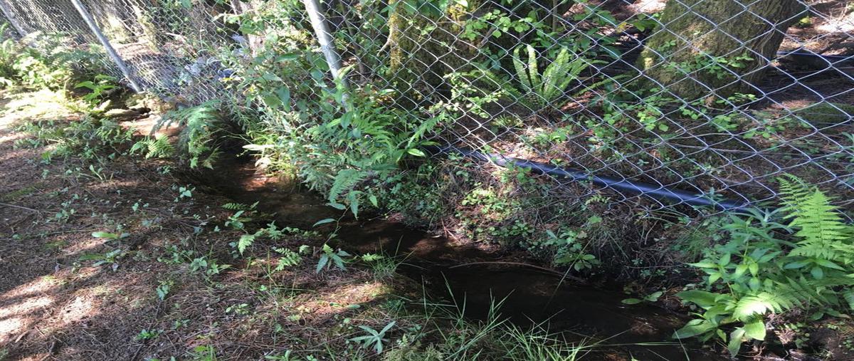 Foto de terreno habitacional en venta en los saúcos , los saúcos, valle de bravo, méxico, 5860387 No. 04