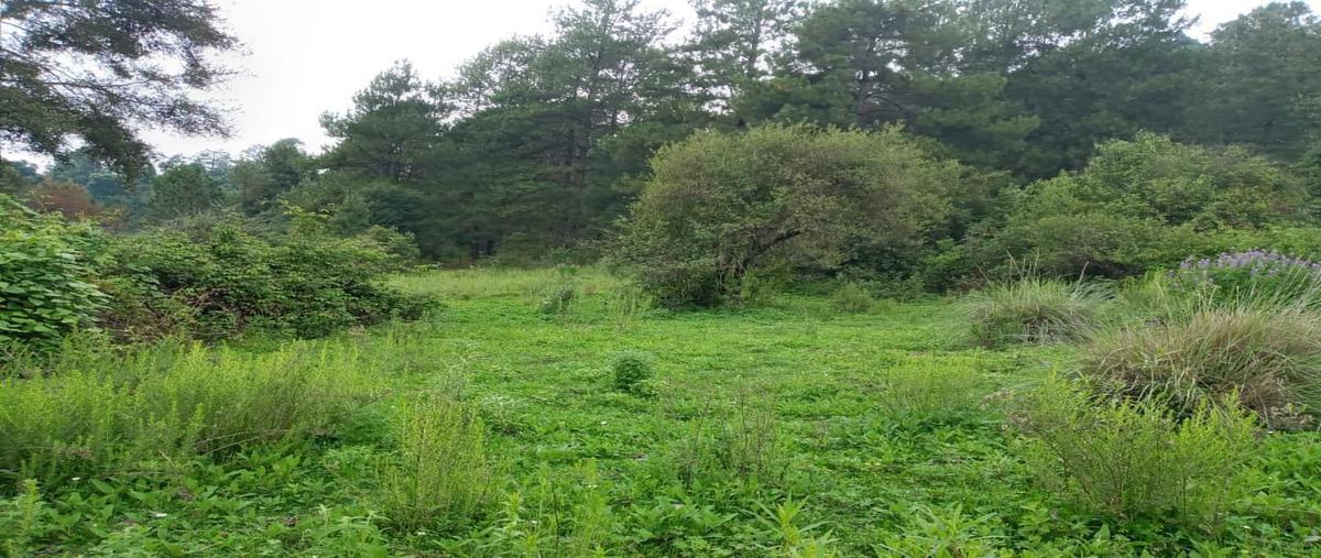 Foto de terreno habitacional en , los saúcos, valle de bravo, méxico, 15607454 foto 01 Foto de terreno habitacional en venta en , los saúcos, valle de bravo, méxico, 15607454 No. 01