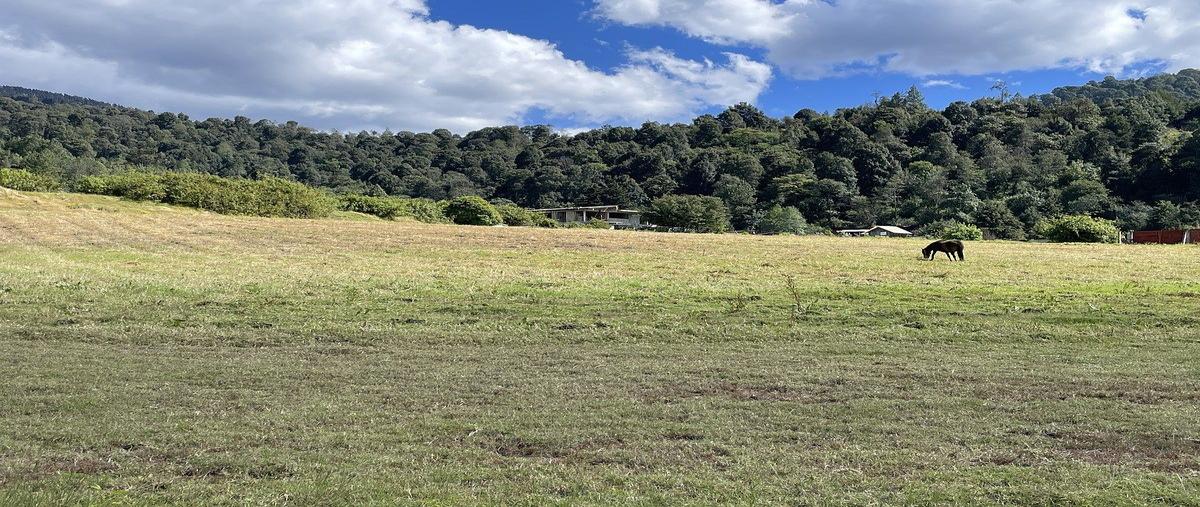 Foto de terreno habitacional en , los saúcos, valle de bravo, méxico, 16637087 foto 01 Foto de terreno habitacional en venta en , los saúcos, valle de bravo, méxico, 16637087 No. 01