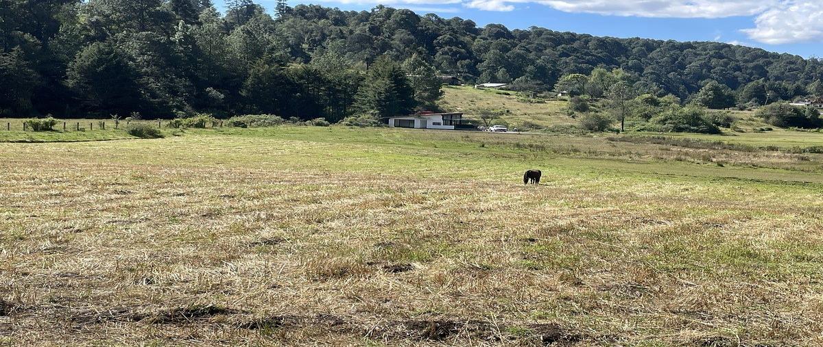 Foto de terreno habitacional en , los saúcos, valle de bravo, méxico, 16637087 foto 04 Foto de terreno habitacional en venta en , los saúcos, valle de bravo, méxico, 16637087 No. 04