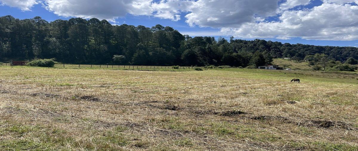 Foto de terreno habitacional en , los saúcos, valle de bravo, méxico, 16637087 foto 05 Foto de terreno habitacional en venta en , los saúcos, valle de bravo, méxico, 16637087 No. 05