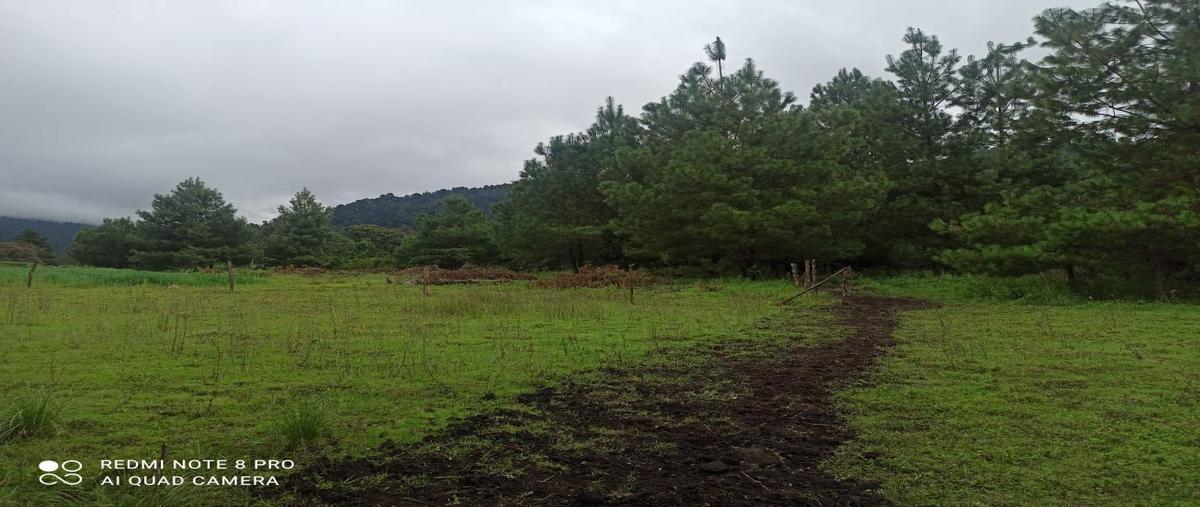 Foto de terreno habitacional en , los saúcos, valle de bravo, méxico, 16787775 foto 04 Foto de terreno habitacional en venta en , los saúcos, valle de bravo, méxico, 16787775 No. 04