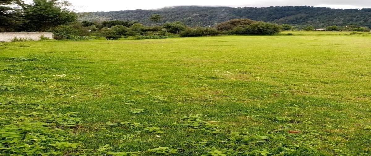 Foto de terreno habitacional en venta en  , los saúcos, valle de bravo, méxico, 22217679 No. 04