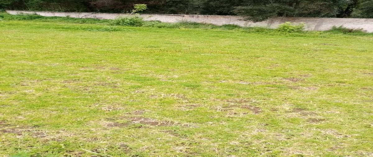 Foto de terreno habitacional en venta en  , los saúcos, valle de bravo, méxico, 22217679 No. 05