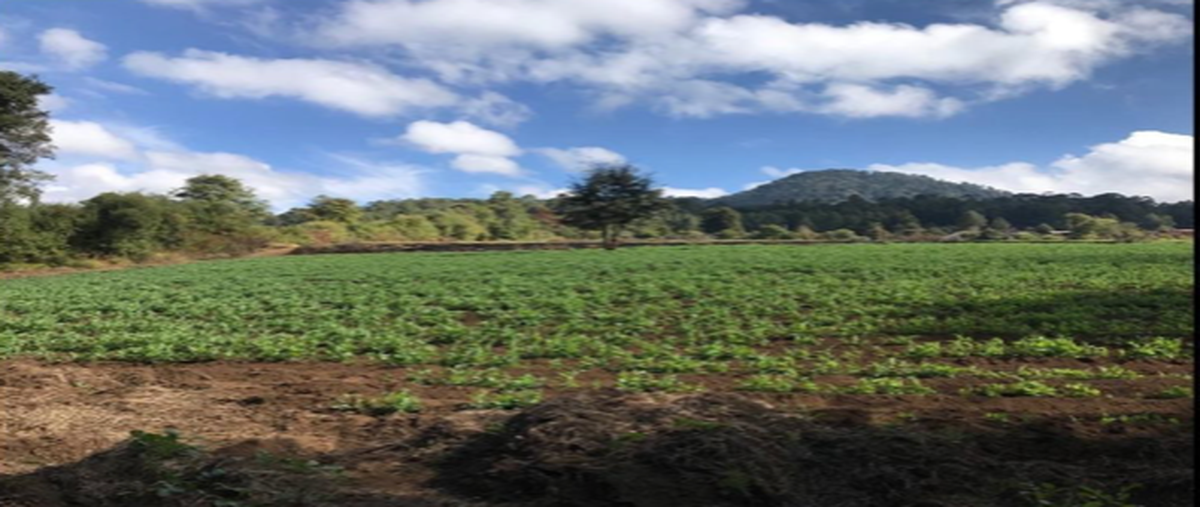 Foto de terreno habitacional en venta en  , los saúcos, valle de bravo, méxico, 24080535 No. 05