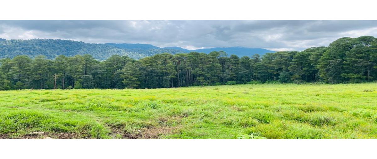 Foto de terreno habitacional en , los saúcos, valle de bravo, méxico, 0 foto 02 Foto de terreno habitacional en venta en , los saúcos, valle de bravo, méxico, 0 No. 02