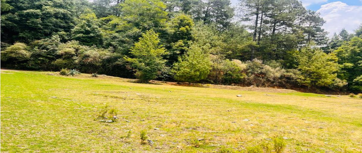 Foto de terreno habitacional en venta en  , los saúcos, valle de bravo, méxico, 0 No. 04