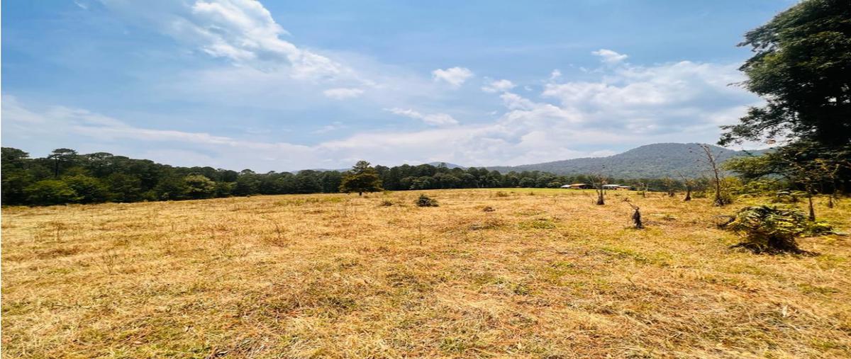 Foto de terreno habitacional en , los saúcos, valle de bravo, méxico, 0 foto 05 Foto de terreno habitacional en venta en , los saúcos, valle de bravo, méxico, 0 No. 05