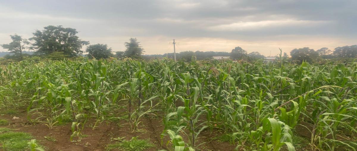 Foto de terreno habitacional en venta en  , los saúcos, valle de bravo, méxico, 26750446 No. 03