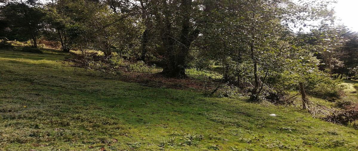 Foto de terreno habitacional en venta en  , los saúcos, valle de bravo, méxico, 27431160 No. 04